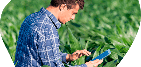 Cobertura de internet en zona rural